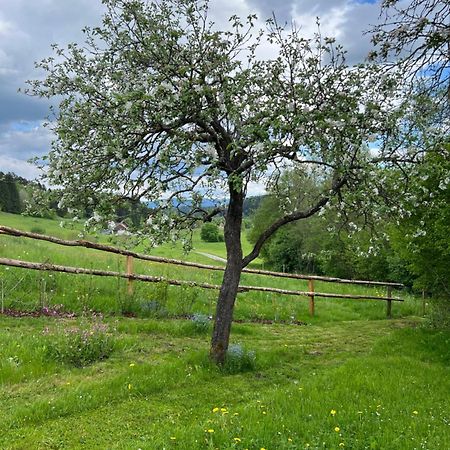 Апартаменты Ferienhaeuschen In Мариахоф Экстерьер фото